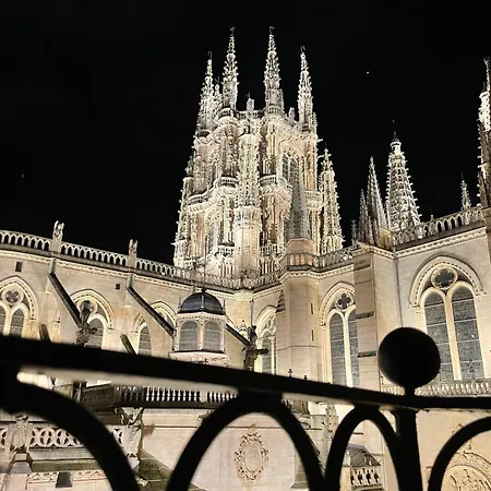 Contemplando La Catedral By Catedral Camino Suites