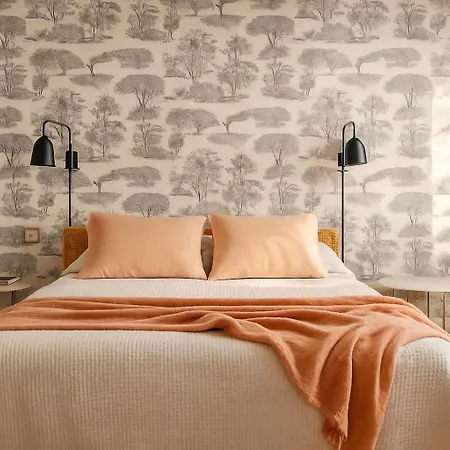 Contemplando La Catedral By Exclusive *