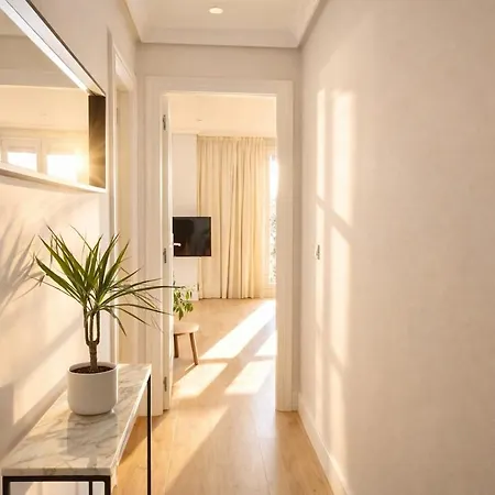 Apartment Contemplando La Catedral By Apartamentoscatedralcamino *